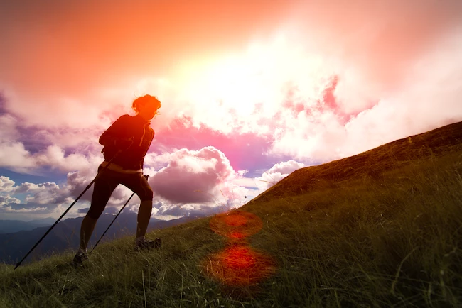 Bâtons De Randonnée Fizan NW Speed 2 Bâtons De Randonnée Fizan NW Speed – Image 2