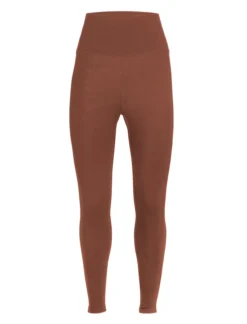 Leggings Pour Femme Icebreaker Fastray High Rise Tights Grape SS22