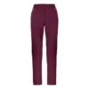 Pantalon Pour Femme Salewa DOLOMIA W PNT FW22