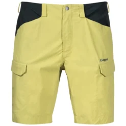 Short Pour Homme Bergans Utne Shorts Green