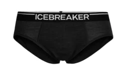 Slip Pour Homme Icebreaker M Anatomica Briefs JET HTHR