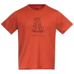 T-shirt Pour Homme Bergans Graphic Wool Brick SS22